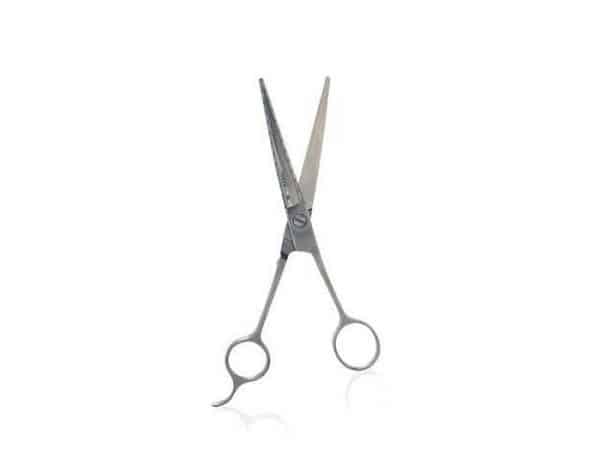 Barber Shears