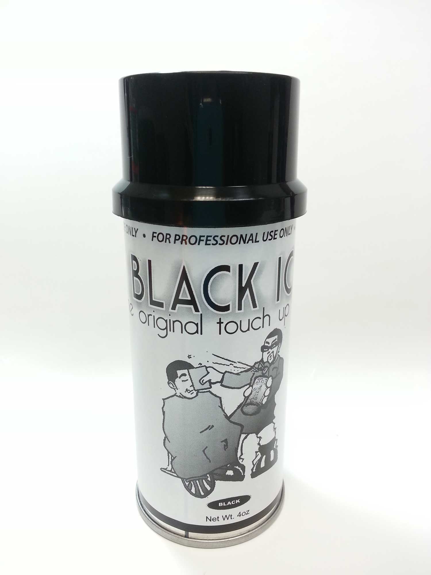 Black Ice Touch Up Spray 4 oz