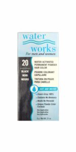 Water Works Permanent Powder Hair Color