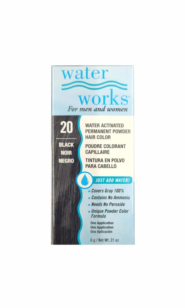 Water Works Permanent Powder Hair Color